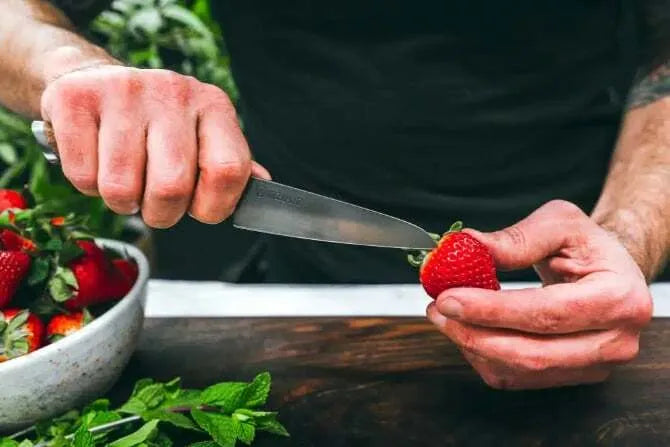 Steelport Paring Knife